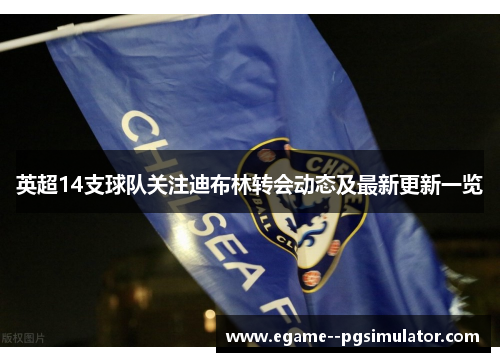 英超14支球队关注迪布林转会动态及最新更新一览