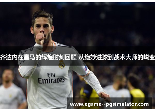 齐达内在皇马的辉煌时刻回顾 从绝妙进球到战术大师的蜕变